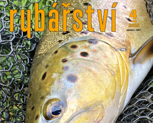 Snímek obrazovky 2025-04-14 083318.png